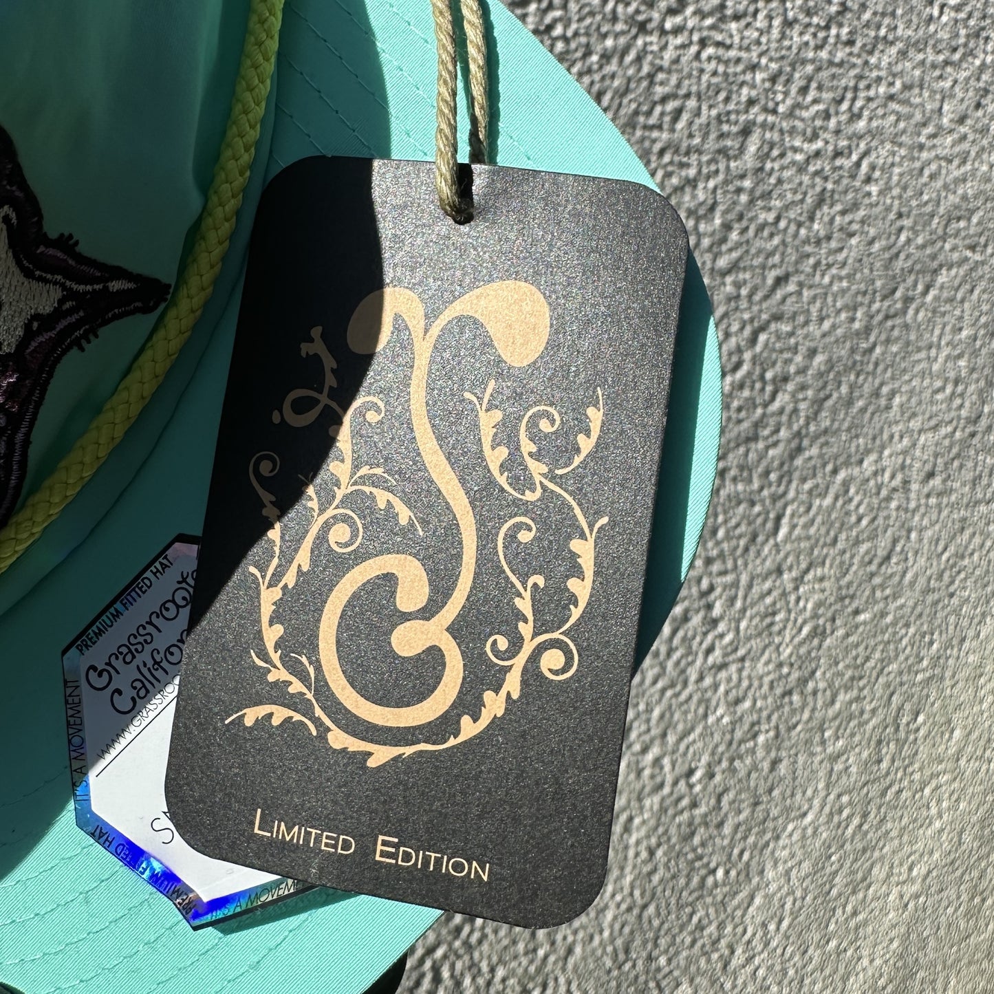 Teal Orca Pod - CloudyMinds