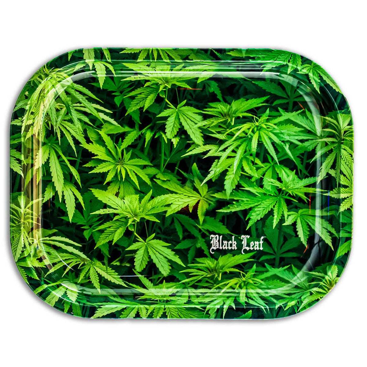 Black Leaf Rolling Tray Hemp 180x140x15mm - CloudyMinds